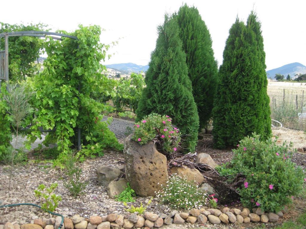 Taras Richmond Farmstay Campania Exterior photo